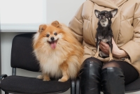 Reduce client wait times