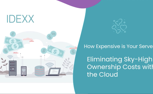 Eliminating Sky-High Ownership Costs with the Cloud