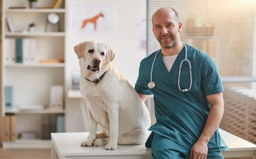 Opening a new veterinary practice