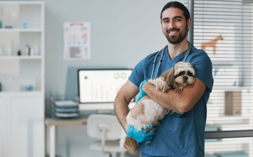 AI and Vet