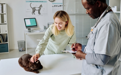Preventive Pet Care