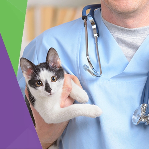 Gribbles Veterinary