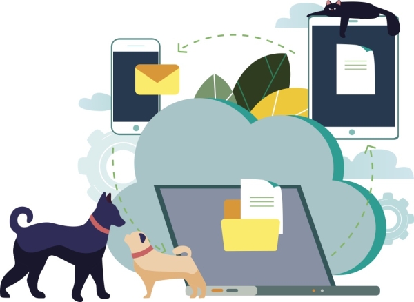 Cloud veterinary software