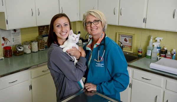 Top Walk-In Vet Clinics Near You: Convenient Care for Pets and Wildlife