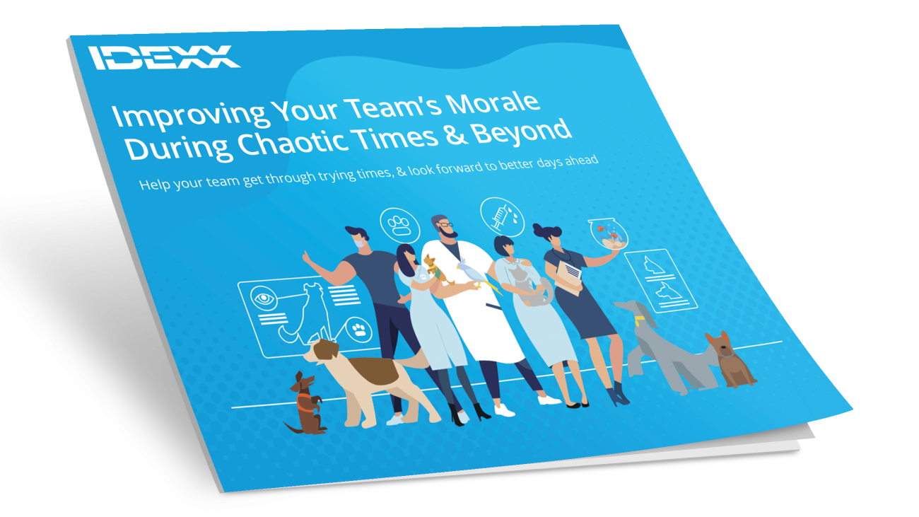Veterinary team morale guide