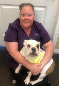 Hays Towne Veterinary Hospital