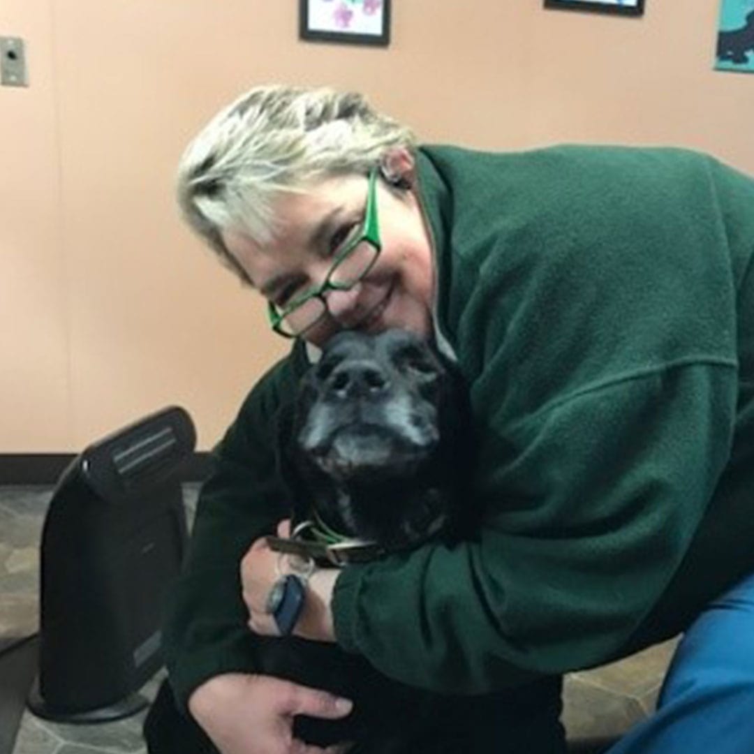 Southside Animal Hospital