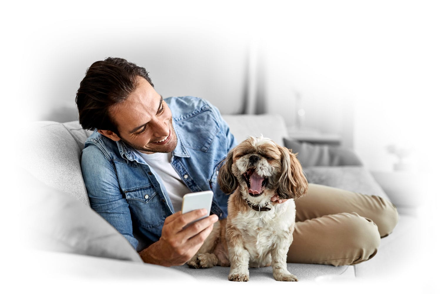 Pet Owner and Phone