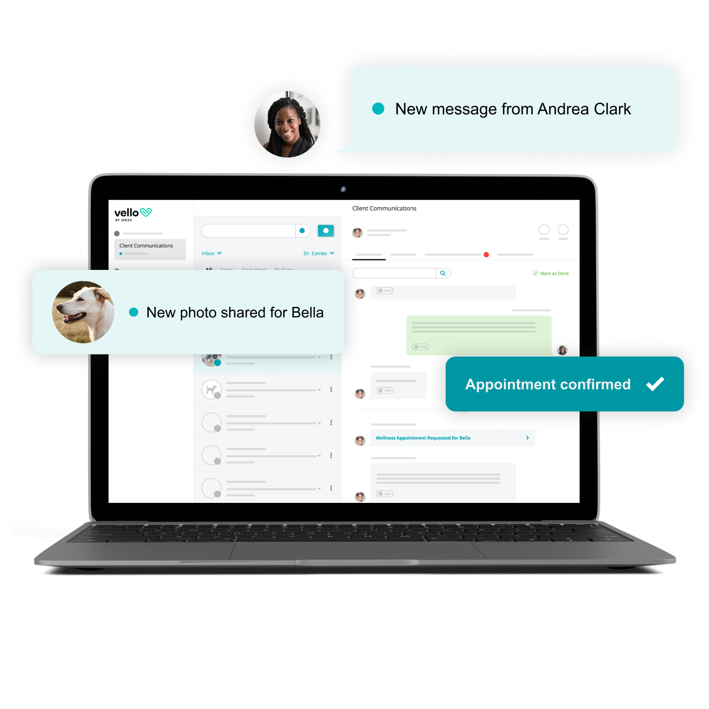 Pet Health Network Pro Upgrade IDEXX Software