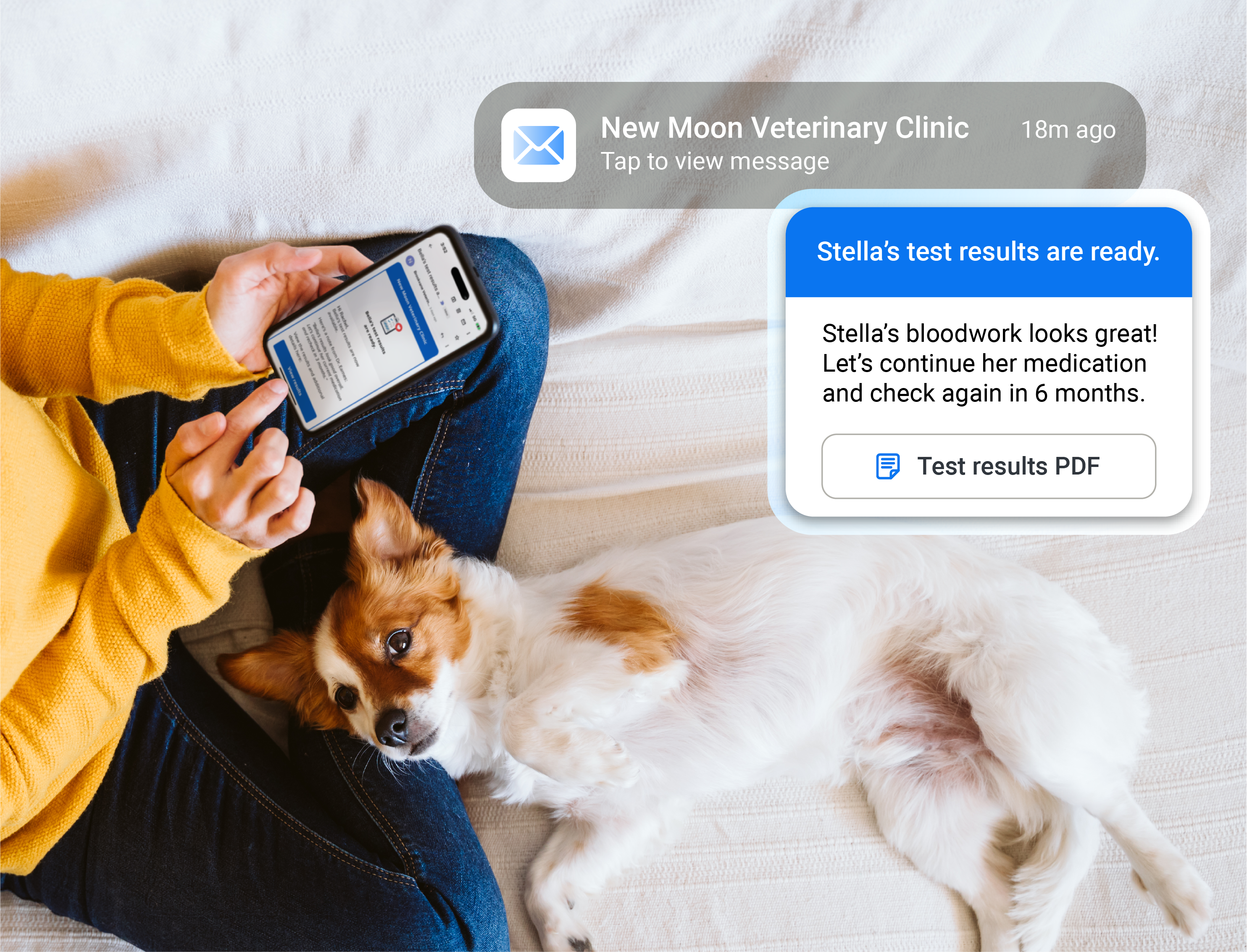 Vello results sharing Vello results sharing
