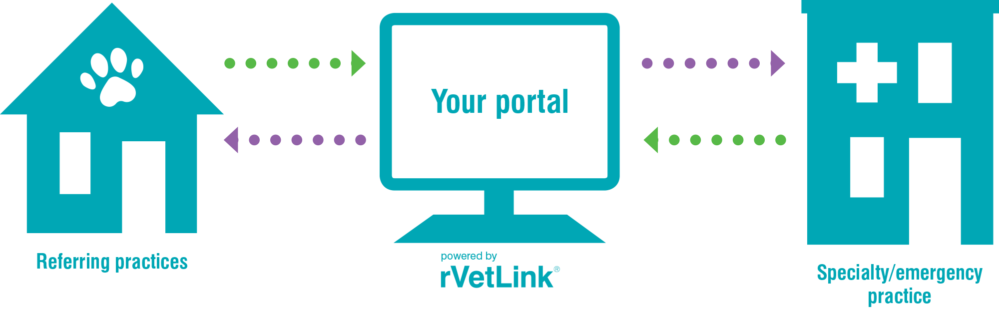 rVetLink data transfer infographic