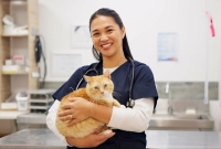 Vet and Cat
