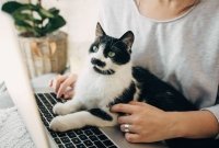 Client communication