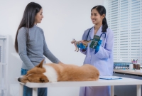Veterinary Prepayment
