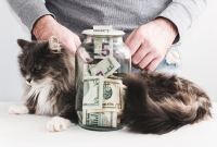 Why Every Veterinary Practice Should Offer Financing Options