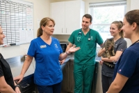 The Accidental Manager: A Survival Guide for New Leaders in Veterinary Medicine