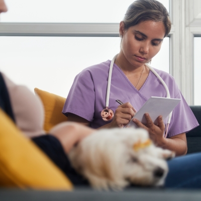 Cloud based veterinary software