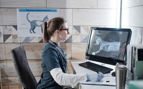 Cloud veterinary software