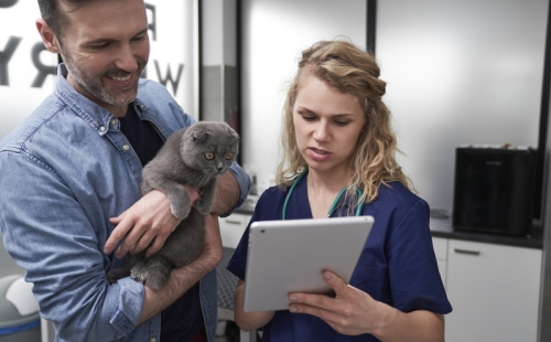 cloud based veterinary software