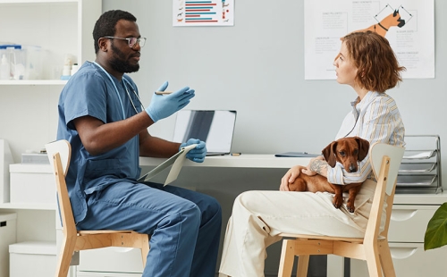 Veterinarian and Patient Communication