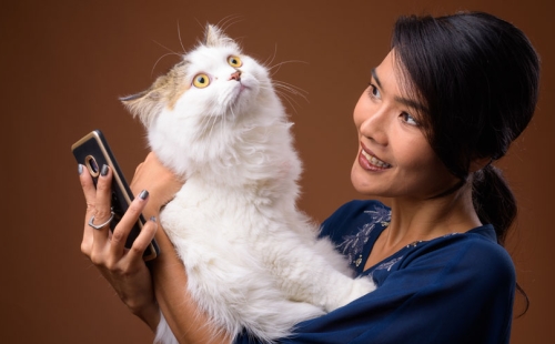 Cat and Owner with a smartphone