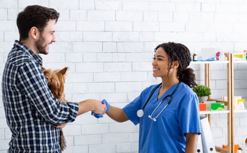 Veterinarian greeting Dog Owner