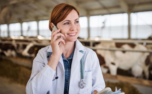 Veterinary Client Communication Strategies For Every Situation