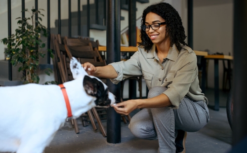 Woman Feeding Dog