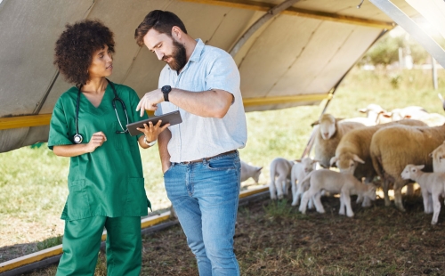 Mobile Veterinary Practice: Tackling Challenges with the Right Software