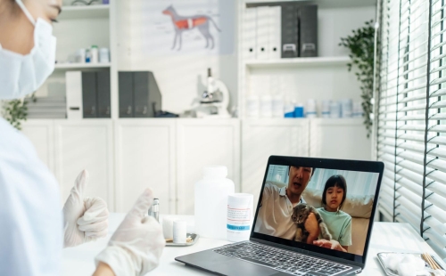 Practical Tips for Implementing Veterinary Telemedicine