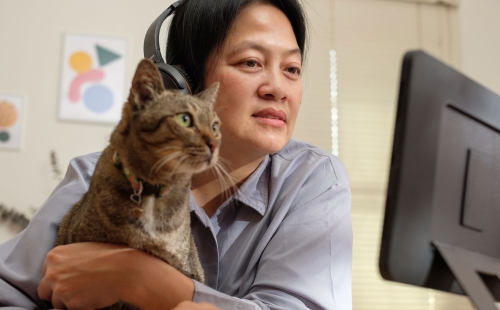 Remote and Hybrid Work in Veterinary Medicine