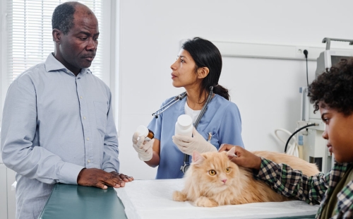 Veterinary Client Communication Styles: Overcoming Differences