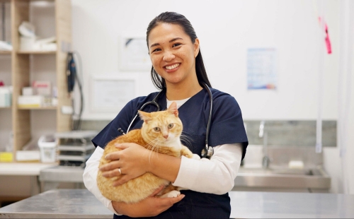 cat and vet