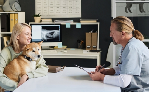 Vet and patient