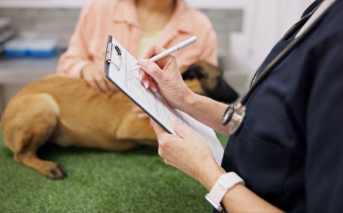 Vet Paperwork