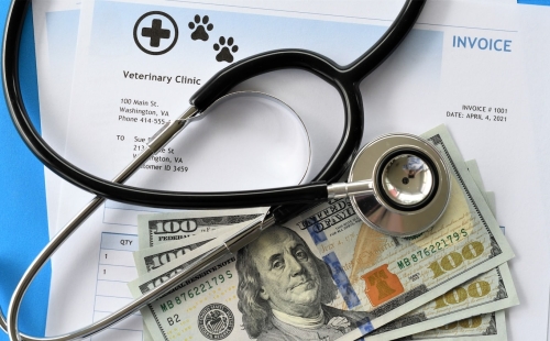 vet costs