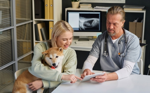 Vet Insurance
