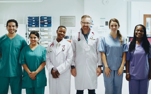 Veterinary Team