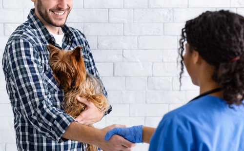 Vet and Patient shaking hands