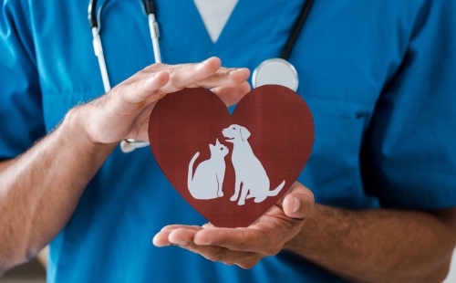 Vet holding a sign that looks like a logo