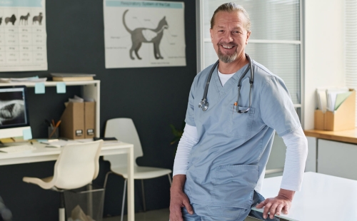 Vet in desk