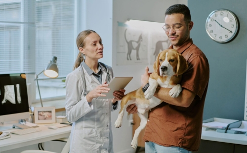 Vet and Pet owner talking