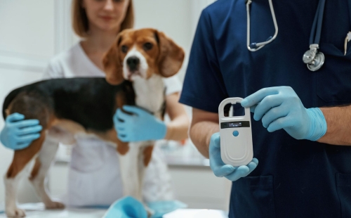 Pet and wearable technology
