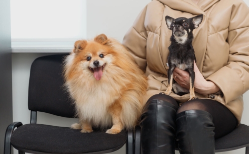 Reduce client wait times