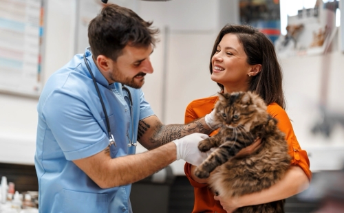 5 Tools to Improve Veterinary Client Communication in 2025