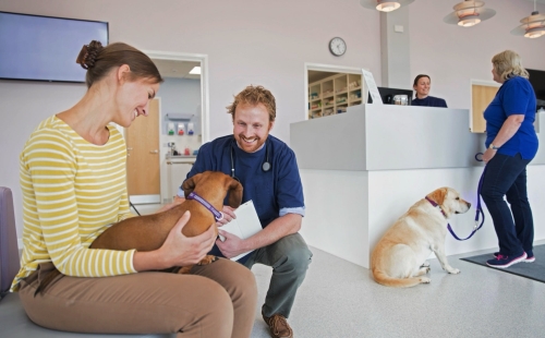 7 Ways to Boost Veterinary Profitability Without Raising Prices