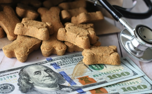 8 Reasons Why Clinics Need Better Veterinary Payment Solutions