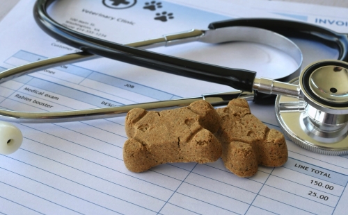 A Guide to Veterinary Pricing Models That Work