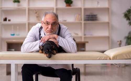 Are You Losing Clients Over Your Veterinary Payment Options