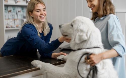 The ROI of Pet Wellness Plans in Veterinary Practice